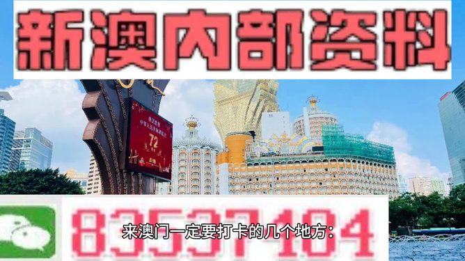 2025新澳今晚资料,适用计划解析方案_免费版20.333