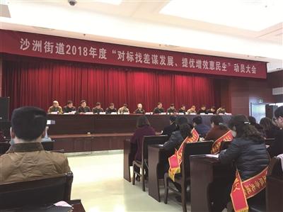 沙洲街道最新新闻速递